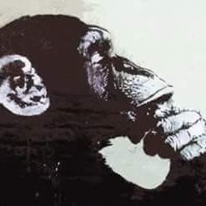 Meet your Posher, Leonard